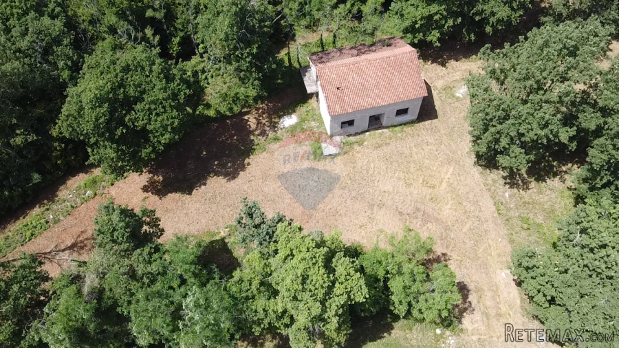 Istra, Višnjan - Samostojeća kuća sa 4900 m2 okućnice - 7