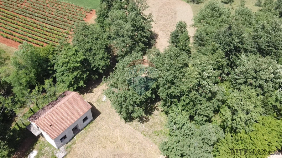 Istra, Višnjan - Samostojeća kuća sa 4900 m2 okućnice - 8