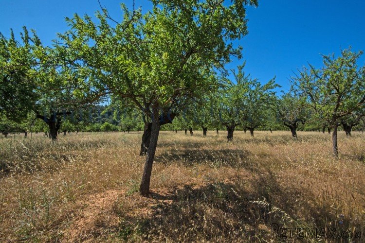 Rustic plot in an undamaged natural scenery. with great.. - 2