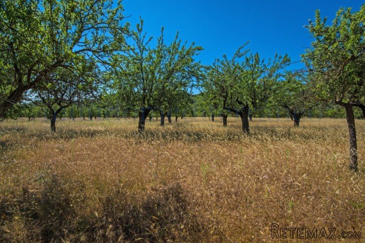 Rustic plot in an undamaged natural scenery. with great.. - 3