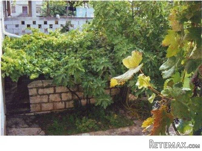 RENOVIRANA KUĆA U SELU POKRAJ VIŠNJANA - 4
