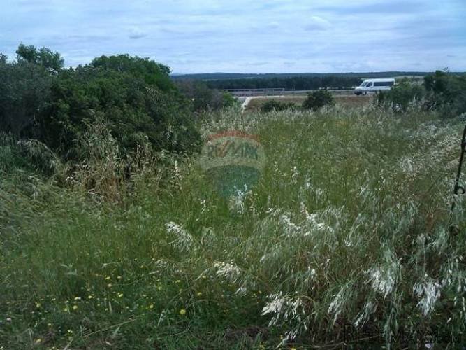 ISTRA,PULA-POLJOPRIVREDNO ZEMLJIŠTE - 5