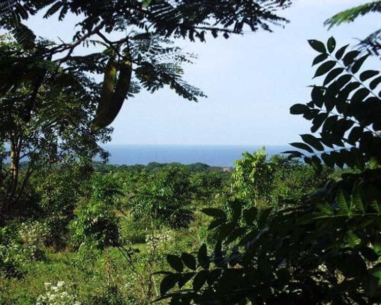 Sosua Lot In Hacienda El Choco
