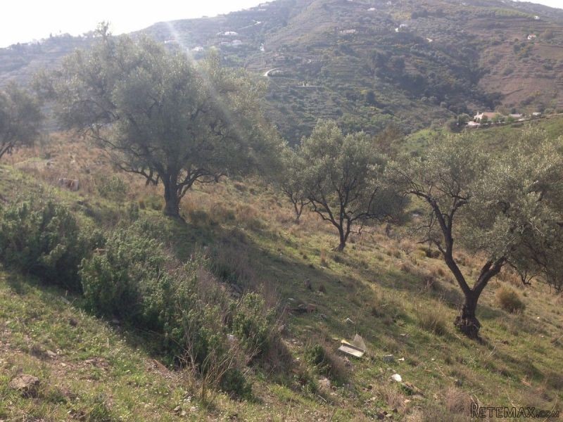2 Bedrooms - Country House - Malaga -.. - 2