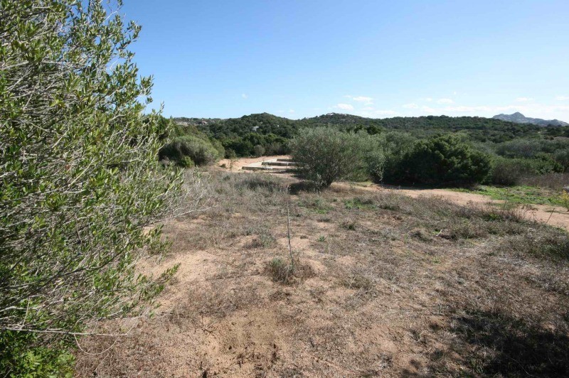Land with permission in Sardinia -..