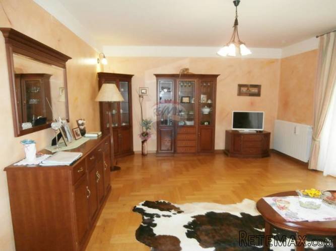 UMAG okolica-samostojeća kuća sa velikom okućnicom - 5