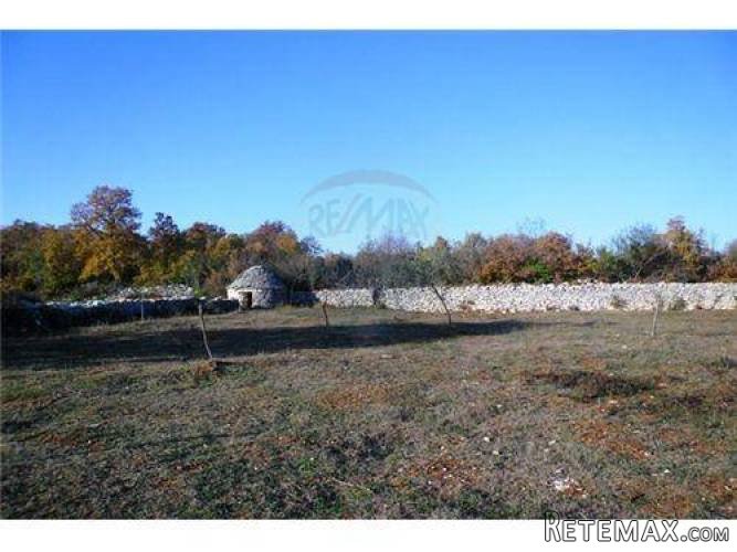 ISTRA,BALE: ZEMLJIŠTE S MASLINAMA I KAŽUNOM 10200 m2 - 4
