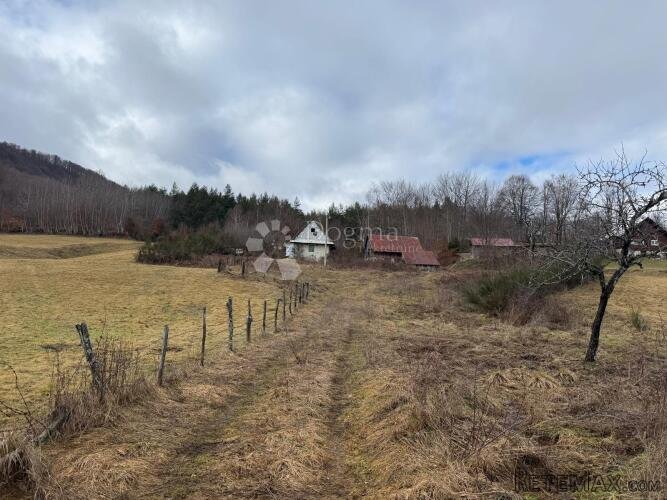 SEOSKO IMANJE + 10000M2 OKUĆNICE PRILIKA !! - 3