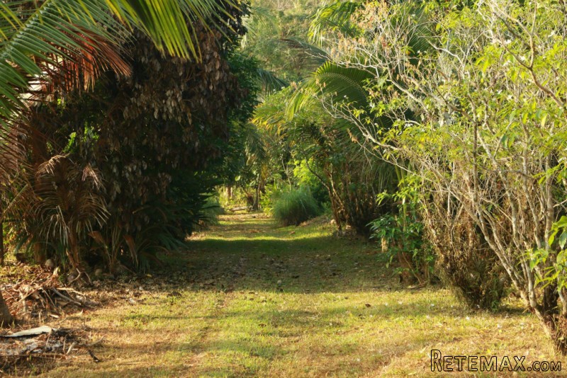 Bang Pae - 11 Rai Mountain View Land..