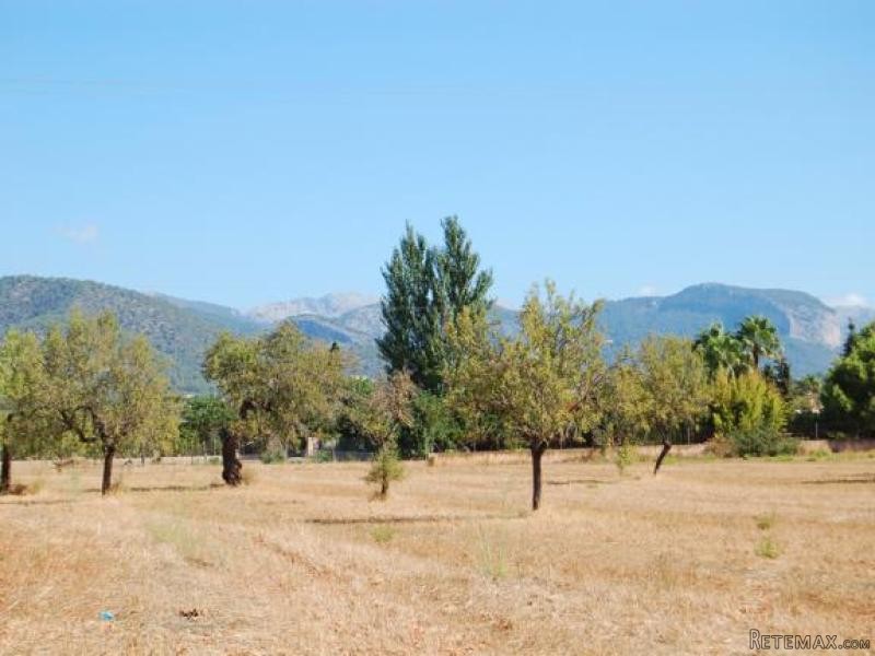 Huge Flat Plot Inside The Village Of..