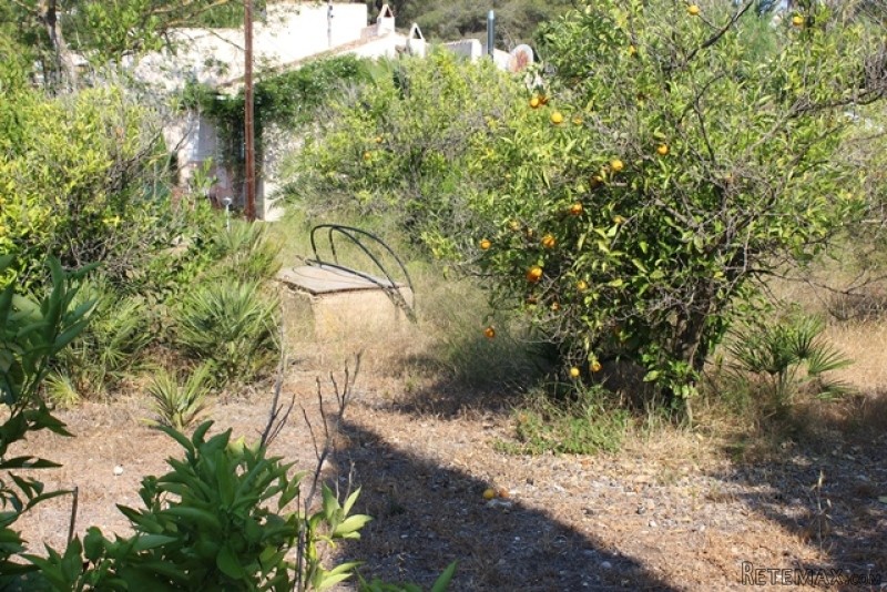 Plot in Javea