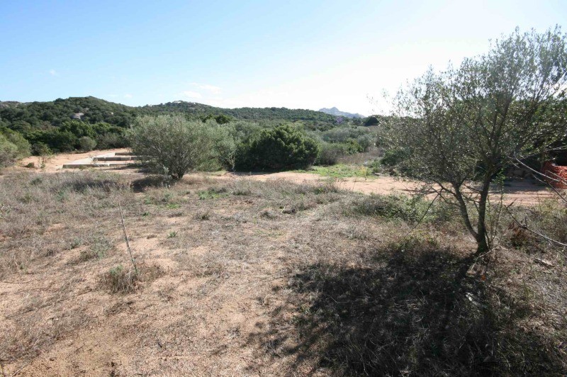Land with permission in Sardinia -.. - 2