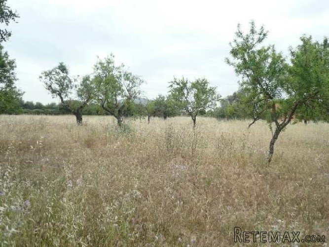 Rustic plot of 3551m2 with an existing farm building of.. - 2