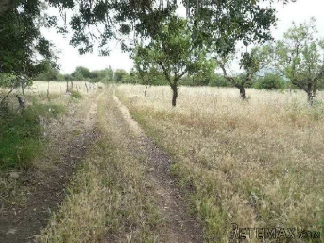 Rustic plot of 3551m2 with an existing farm building of.. - 4