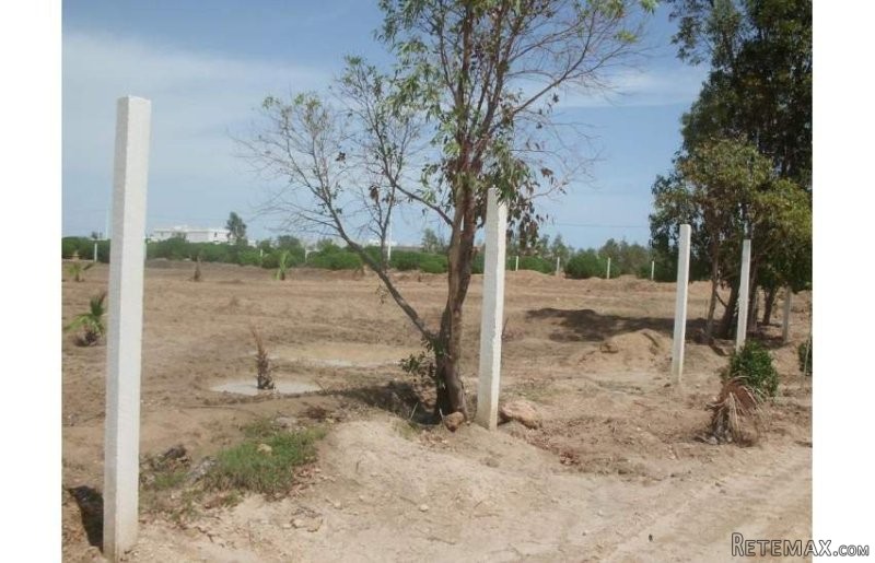 Terrain loti a Hergla