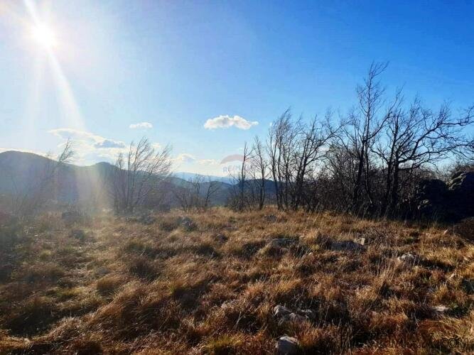 Hreljin, šumsko zemljište od 20000m2 s pogledom na more - 2