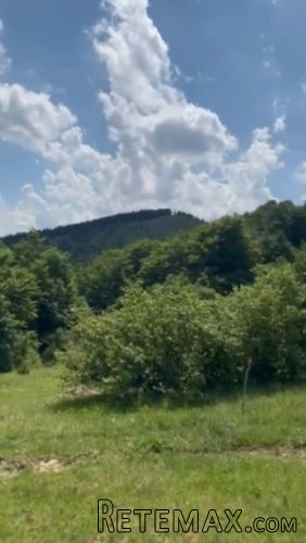 Plac ispod Cigote-Zlatibor - 12
