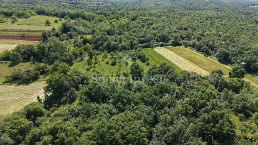 VIŠNJAN - ŽUŽIĆI, poljoprivredno zemljište od 5694 m2 - 2