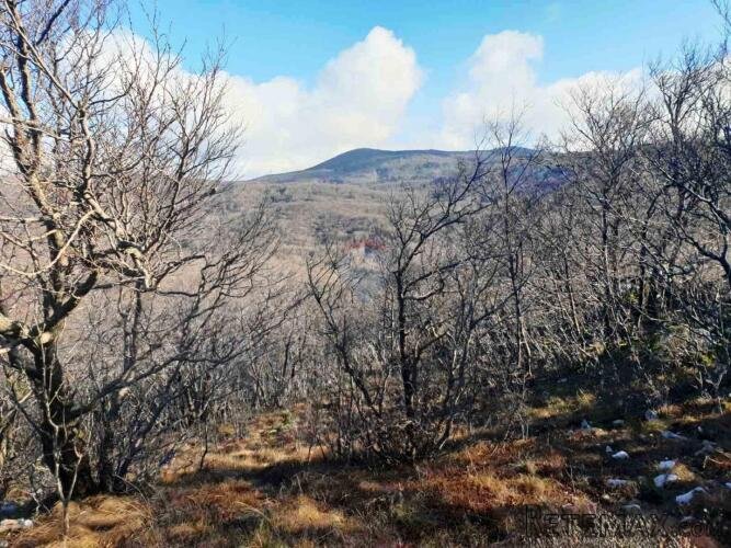 Hreljin, šumsko zemljište od 20000m2 s pogledom na more - 3