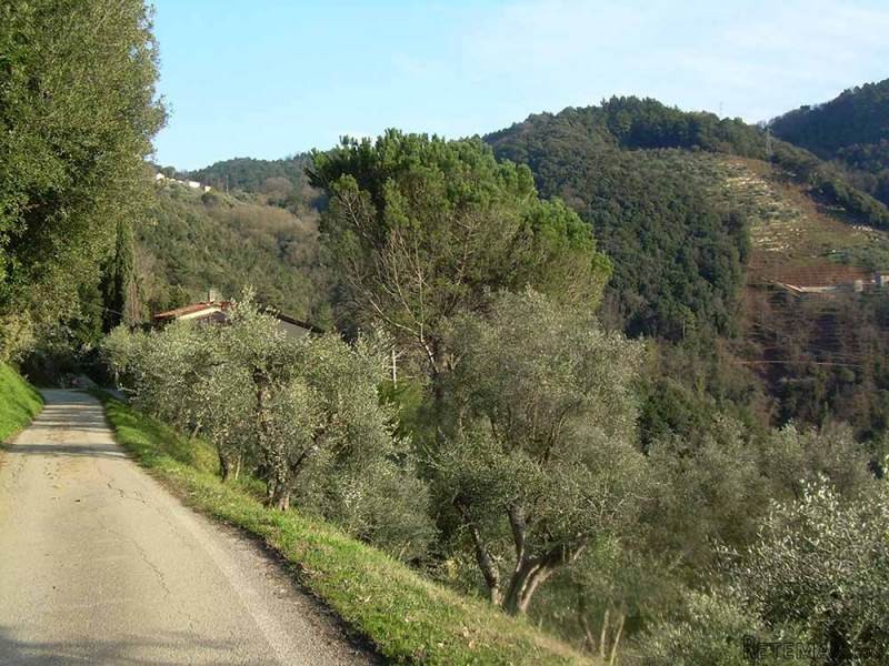 Farm House On 'via Francigena' - 2