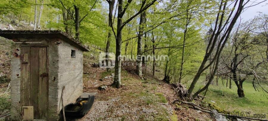 Platak, 40m2, vikendica s 7.611m2 okućnice - 15