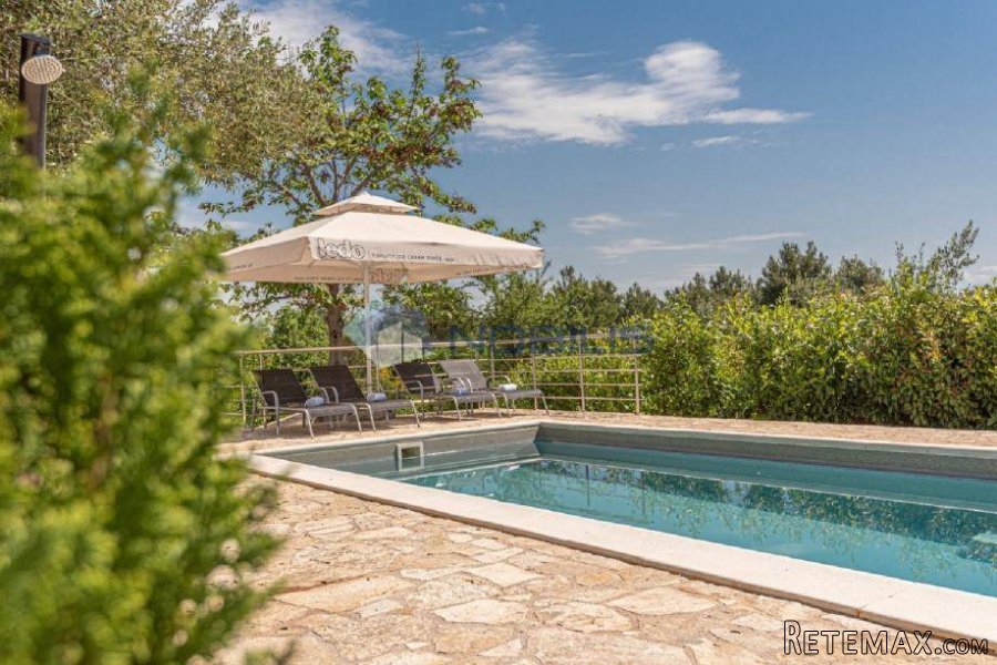 Vodice, kuća u masliniku, 3300 m2 okućnice - 9