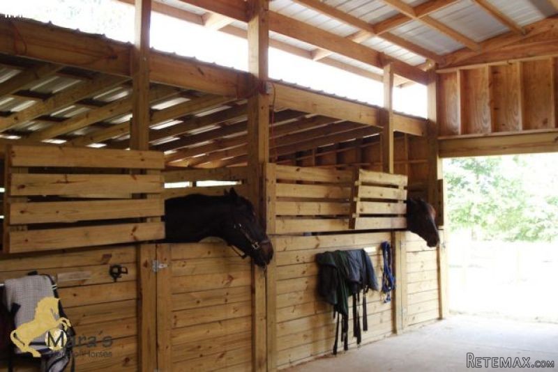 McAlpin: horseranch, equestrian..
