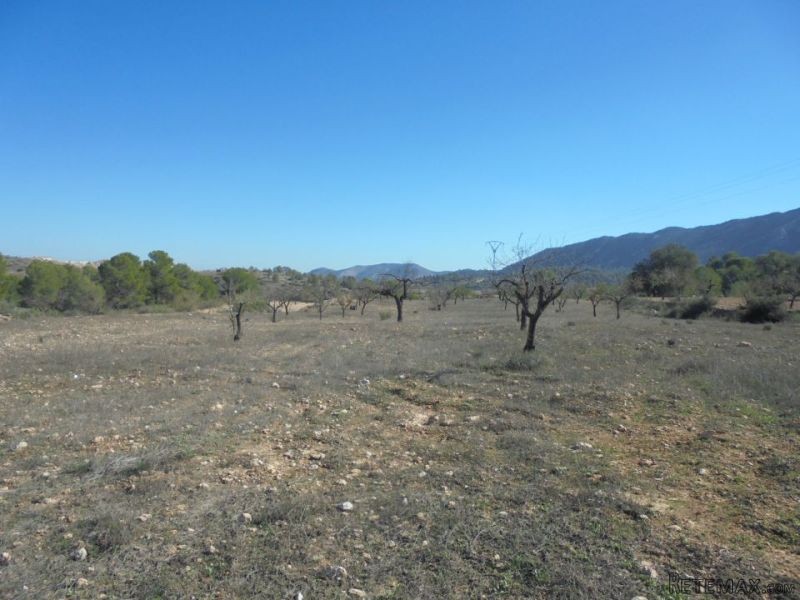 Undeveloped Land Of 10,000m2 With..