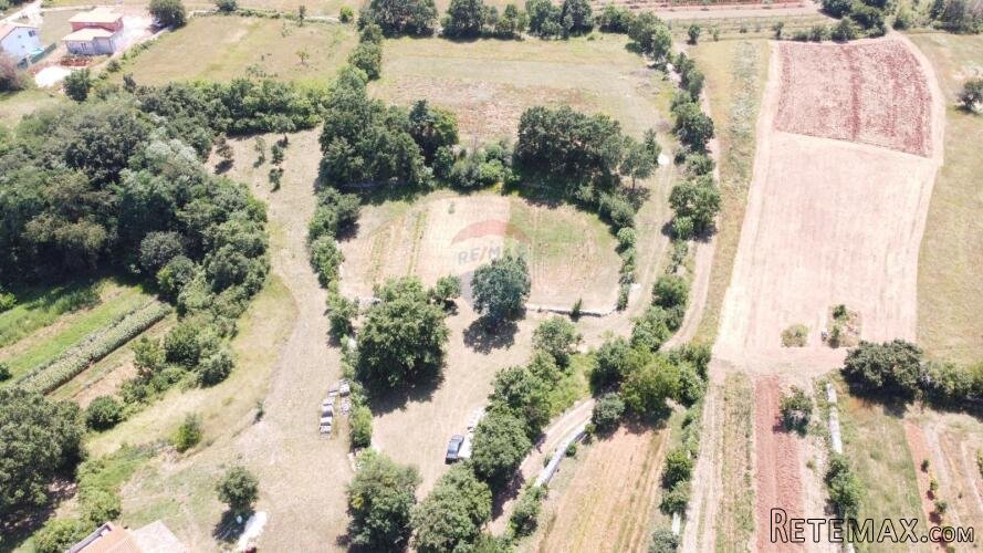Istra, Kanfanar - okolica pravilna građevinsko poljoprivredn - 3