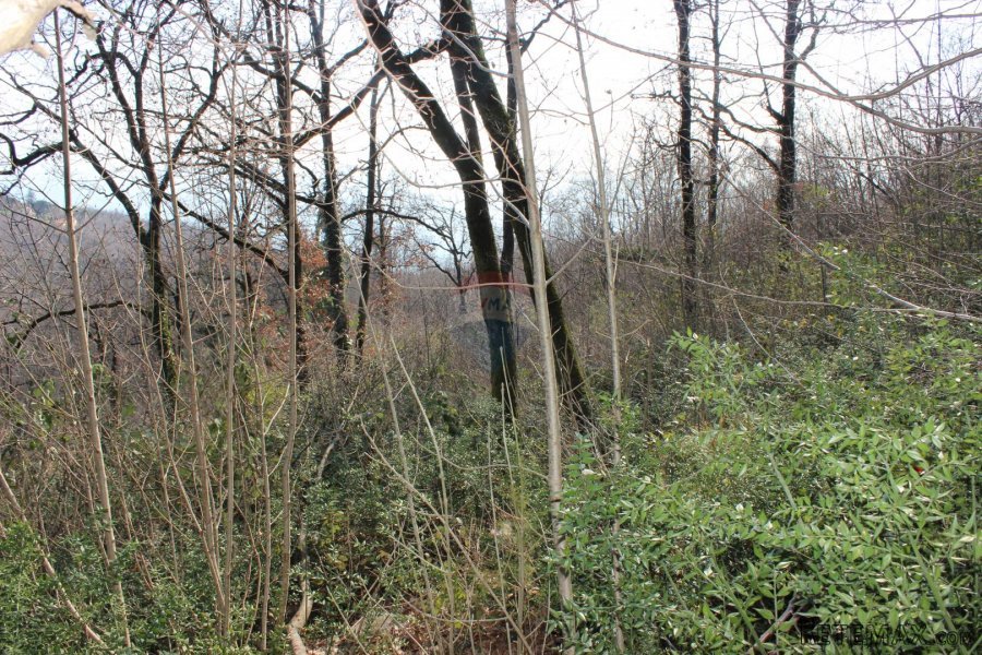 Veprinac, Zatka - građevinski teren 4402 m2 - 3