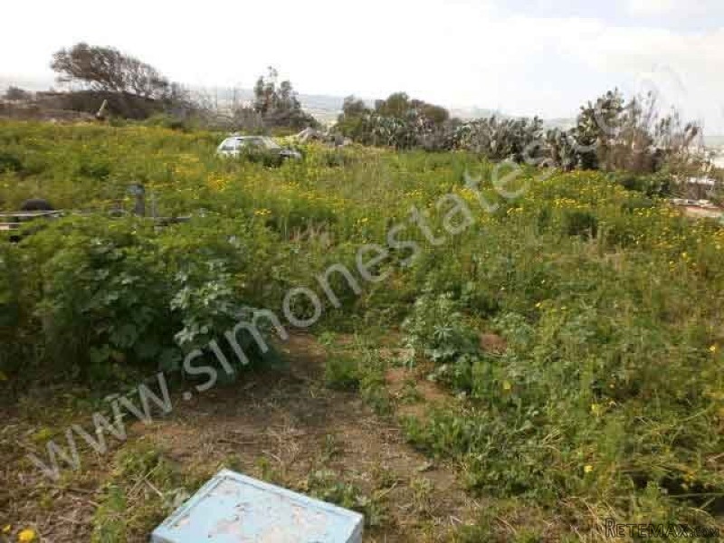Land / Fields, - 2
