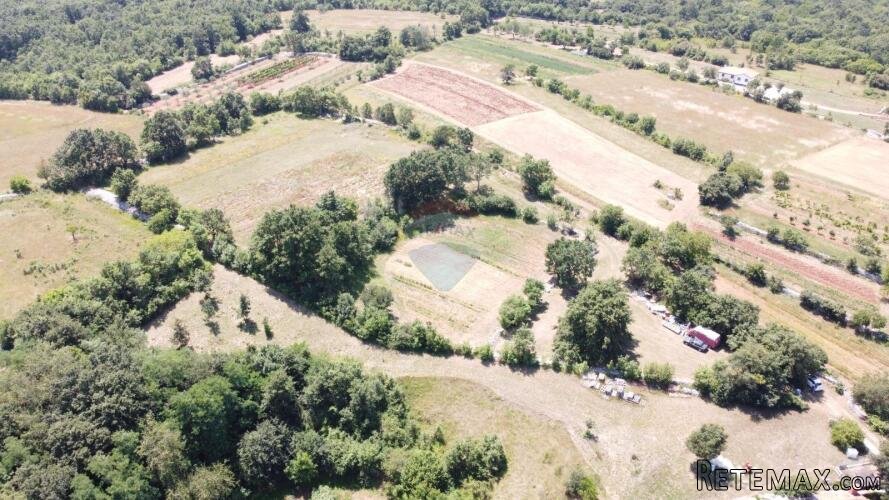Istra, Kanfanar - okolica pravilna građevinsko poljoprivredn - 6