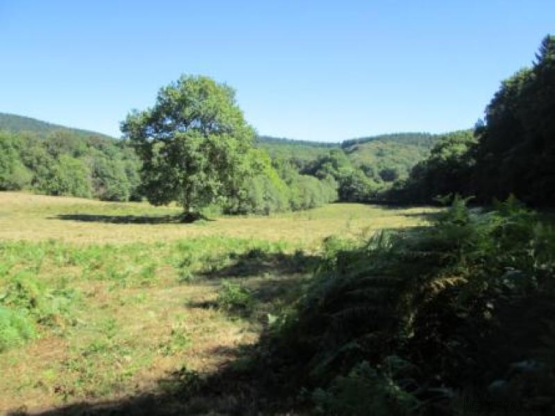 Country House on 2 Hectares - 2