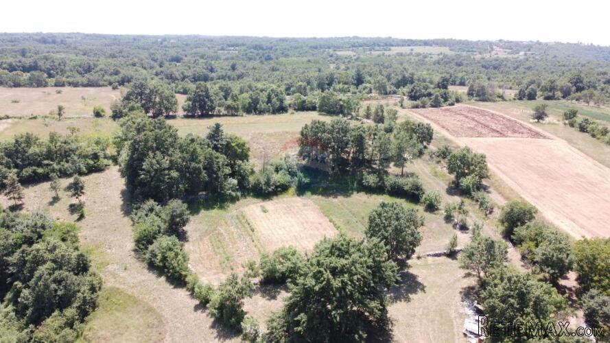 Istra, Kanfanar - okolica pravilna građevinsko poljoprivredn - 8