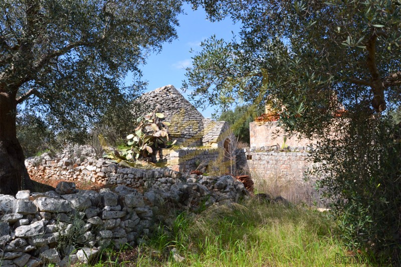 Grezzo C.da Rosatella, Castellana Grotte - 2