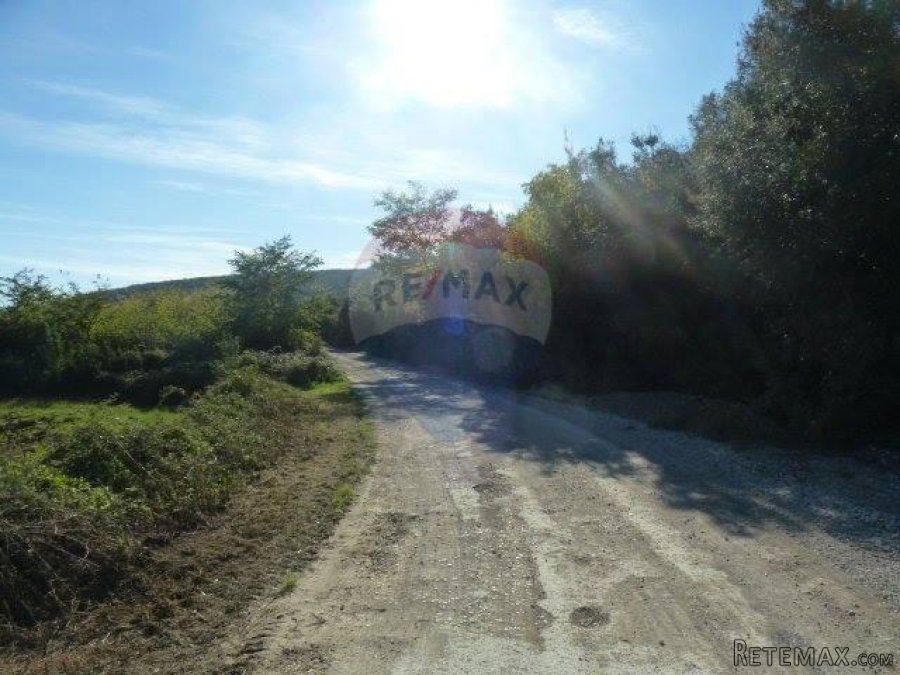 ISTRA, VALTURA, šuma uz pristupni put - 2