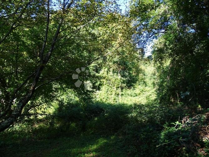 Veprinac - veliki teren a dobroj lokaciji ! - 2