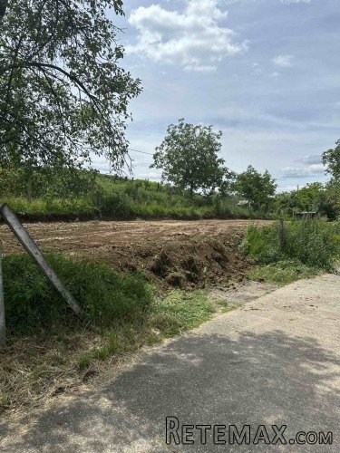 Plac na obroncima Fruske Gore - 4