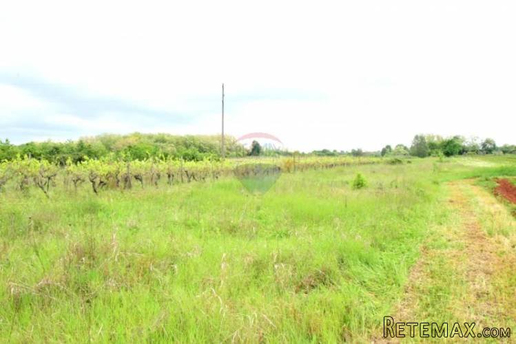 Poljoprivredno zemljište - vinograd - 5