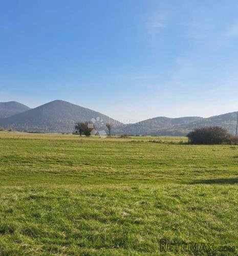 ŽITNIK 30000 M2 KUĆA TOP LOKACIJA - 2