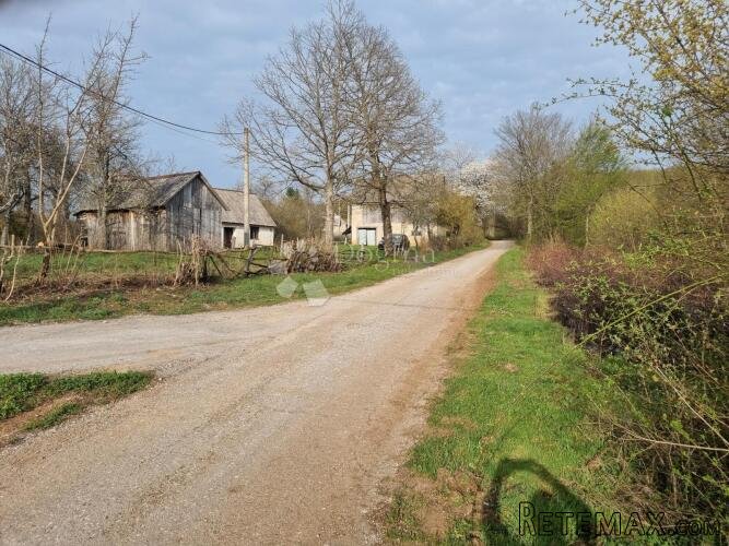 Priiroda na najjače - 3