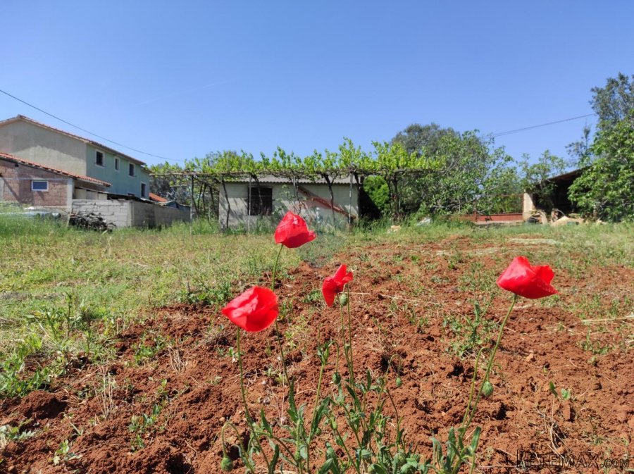 Istra,Fažana - legalizirana kuća 70m2 na okućnici od 3500m2 - 4