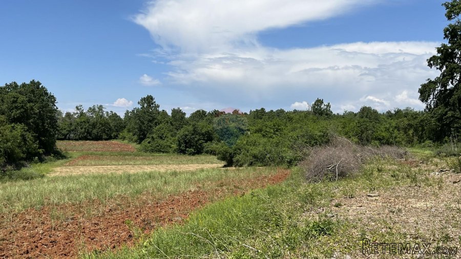 Kaštelir, okolica - poljoprivredno zemljište ukupne kvadratu - 4