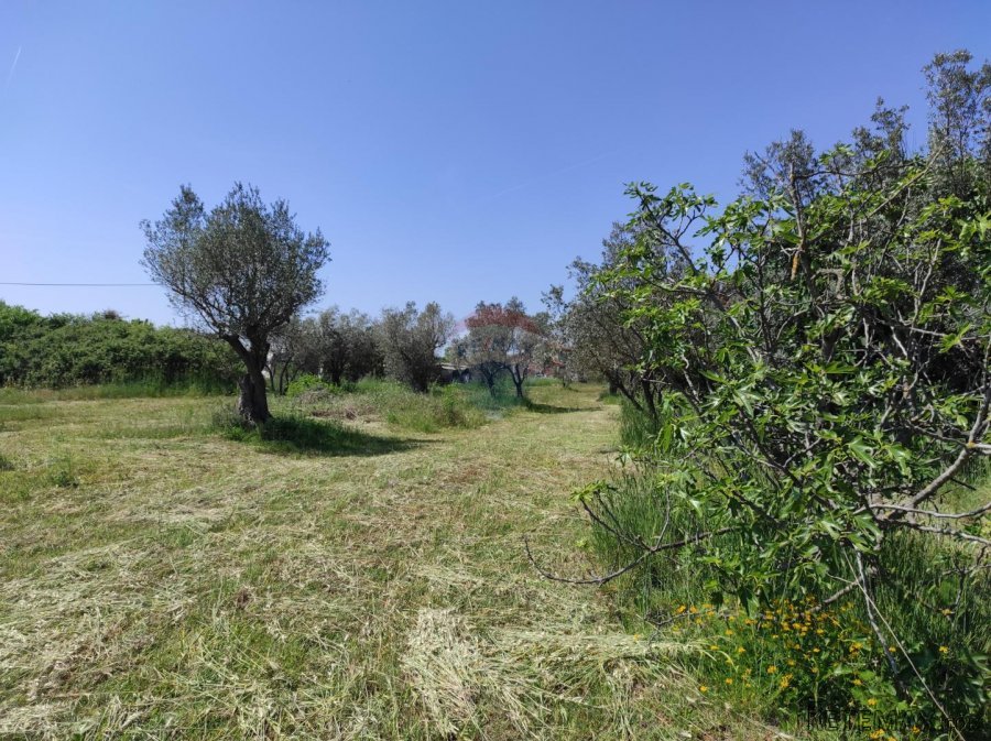 Istra,Fažana - legalizirana kuća 70m2 na okućnici od 3500m2 - 5