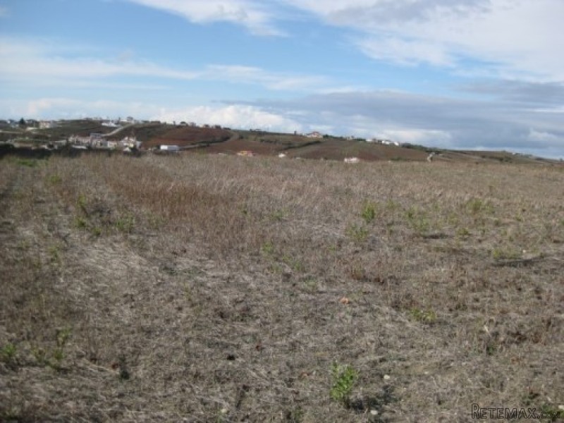 Land , Torres Vedras