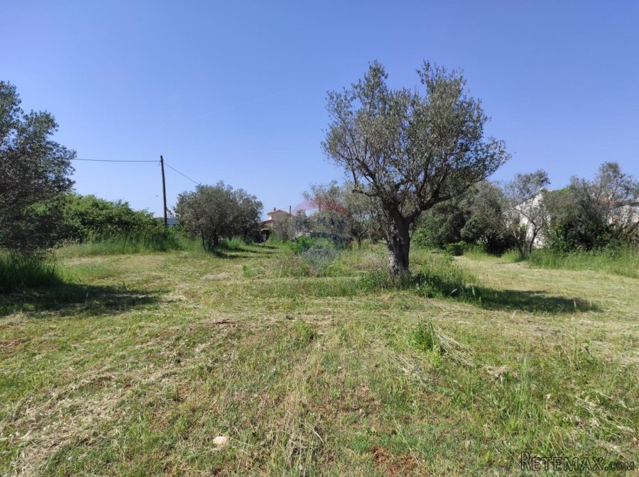 Istra,Fažana - legalizirana kuća 70m2 na okućnici od 3500m2 - 6