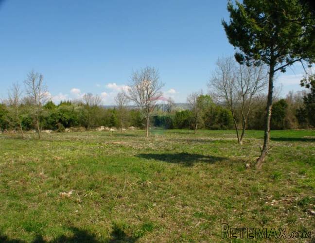 ISTRA, RAKALJ, PREKRASNA GRAĐEVINSKA PARCELA 2042 M2 - 5