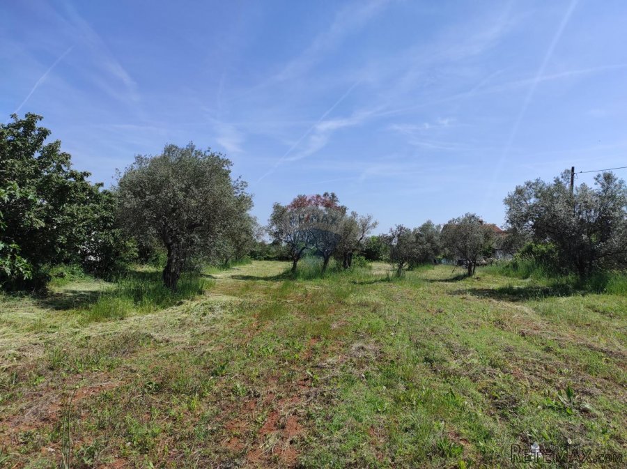 Istra,Fažana - legalizirana kuća 70m2 na okućnici od 3500m2 - 8