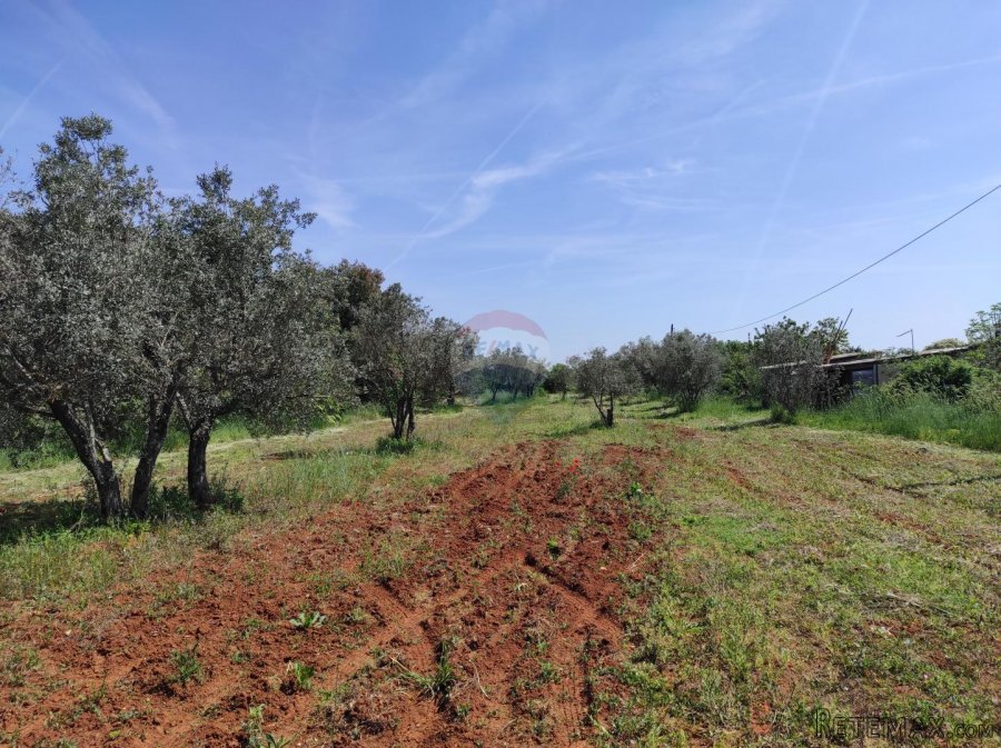 Istra,Fažana - legalizirana kuća 70m2 na okućnici od 3500m2 - 9