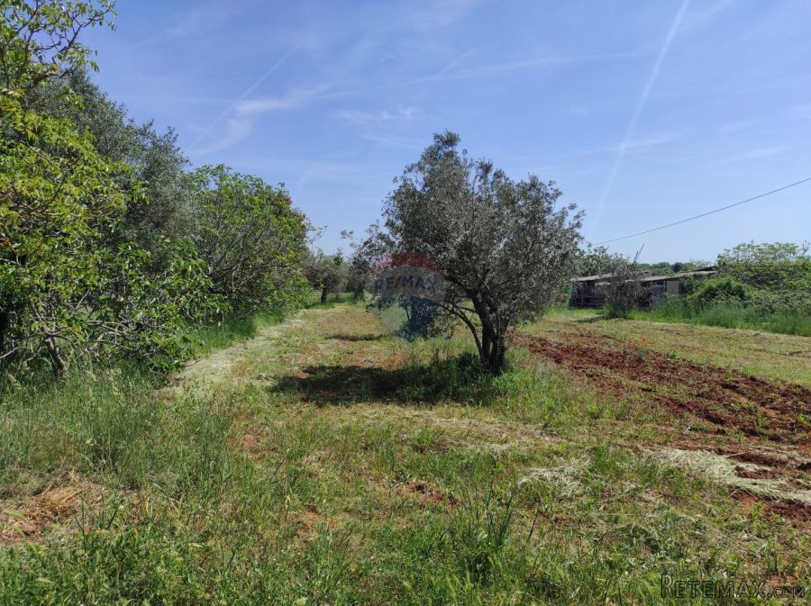 Istra,Fažana - legalizirana kuća 70m2 na okućnici od 3500m2 - 10
